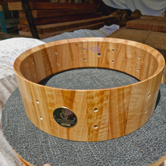 Blackbutt 14x4.5 stave shell